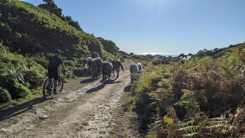 Rando vers Vauville - Cherbourg-en-Cotentin