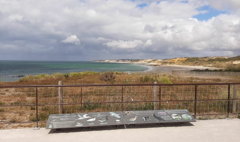 Petite promenade familiale : plage Judith et dunes - Wimereux