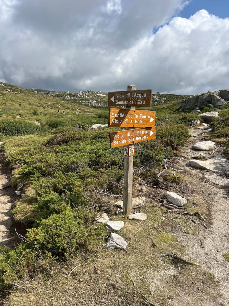 Plateau de Coscione - sentier de l’eau - Serra-di-Scopamène