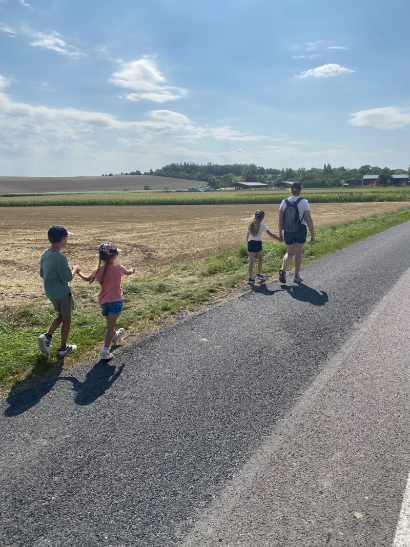 Boucle sur les hauteurs de Bussy-le-Repos - Bussy-le-Repos