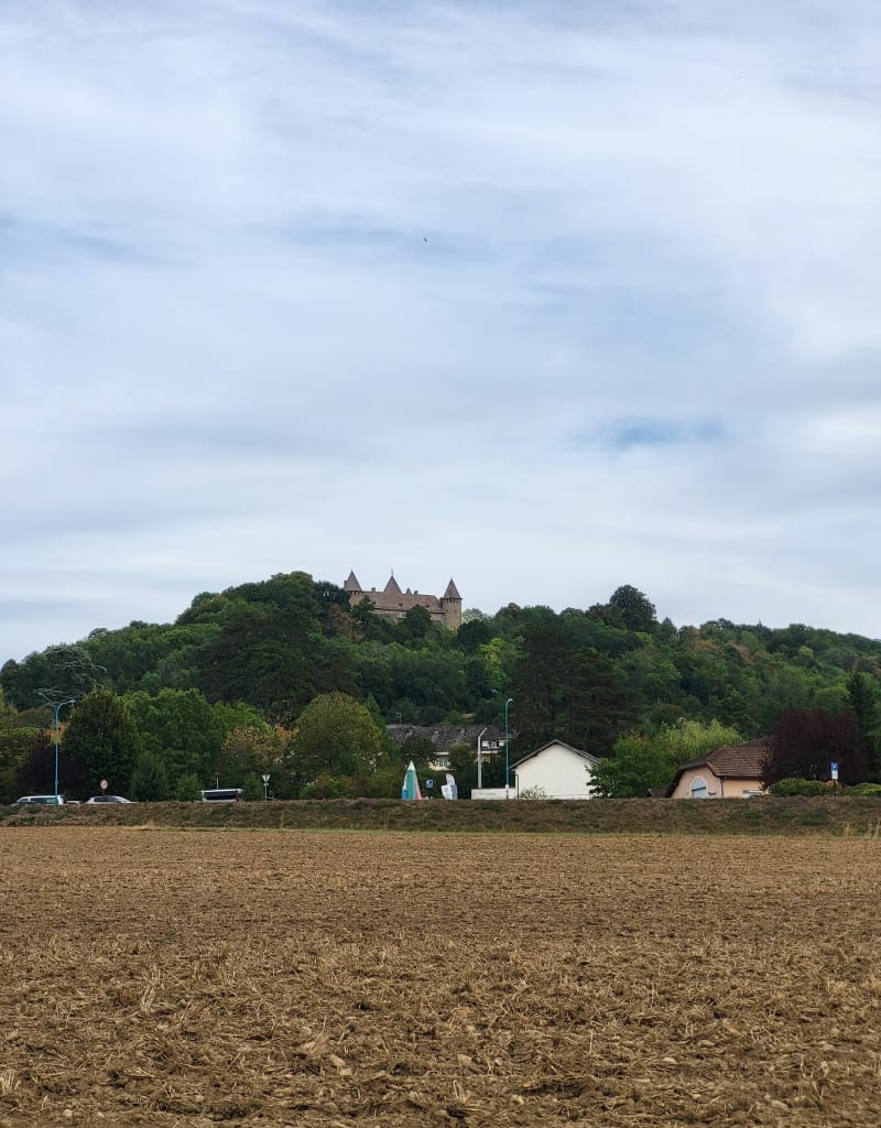 Petite balade Val de Virieu - Val-de-Virieu