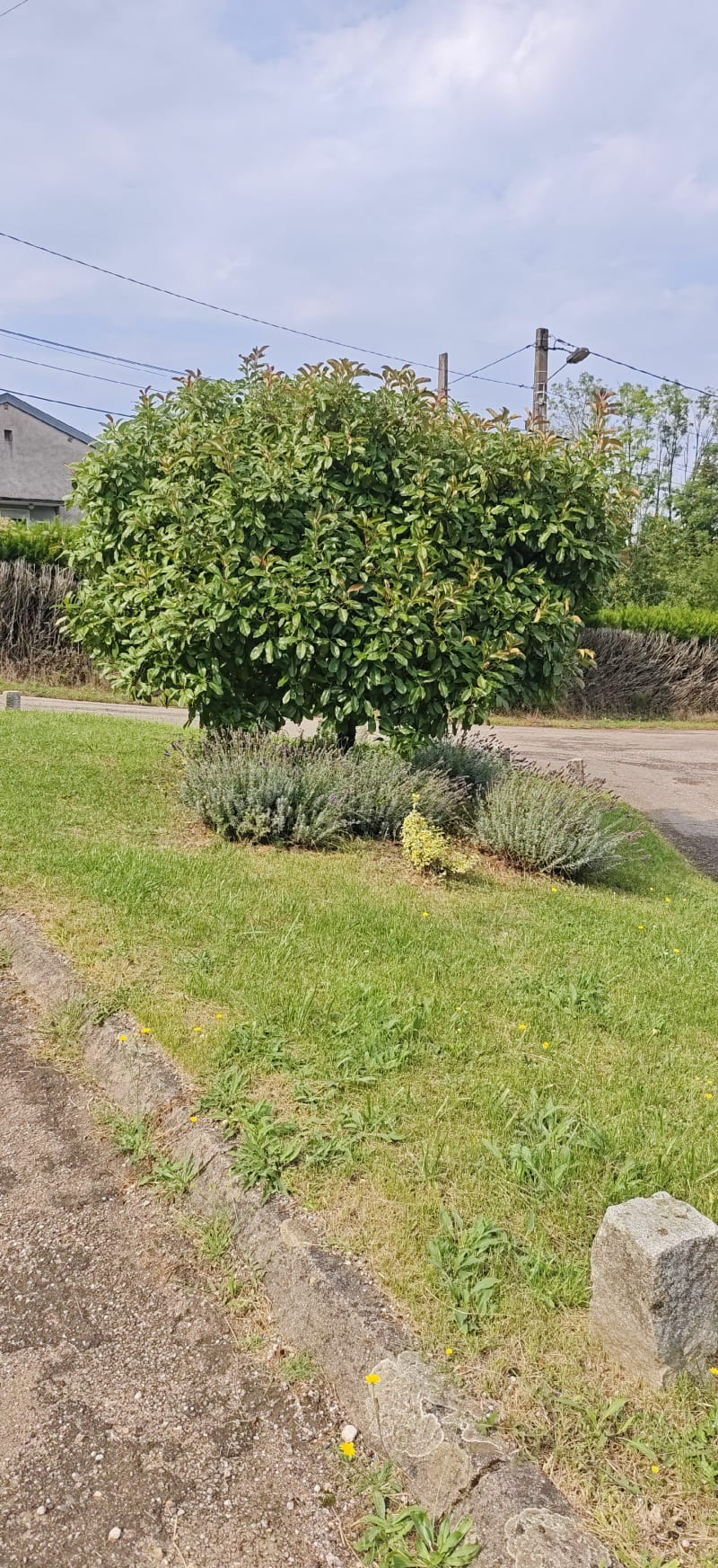 Petite balade entre Favières et Saulxerotte - Favières