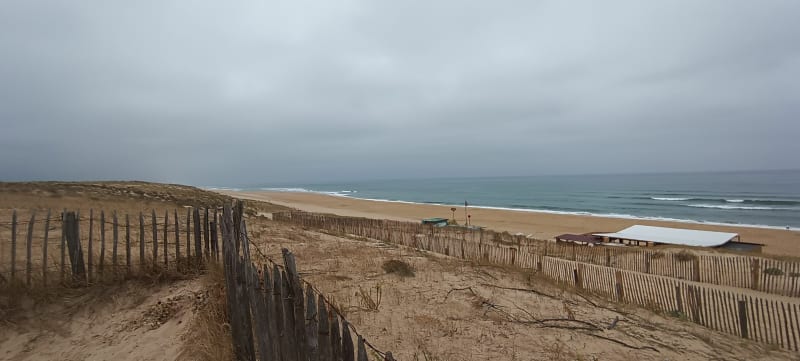 Sortie dans les pinèdes des Landes - Saint-Julien-en-Born