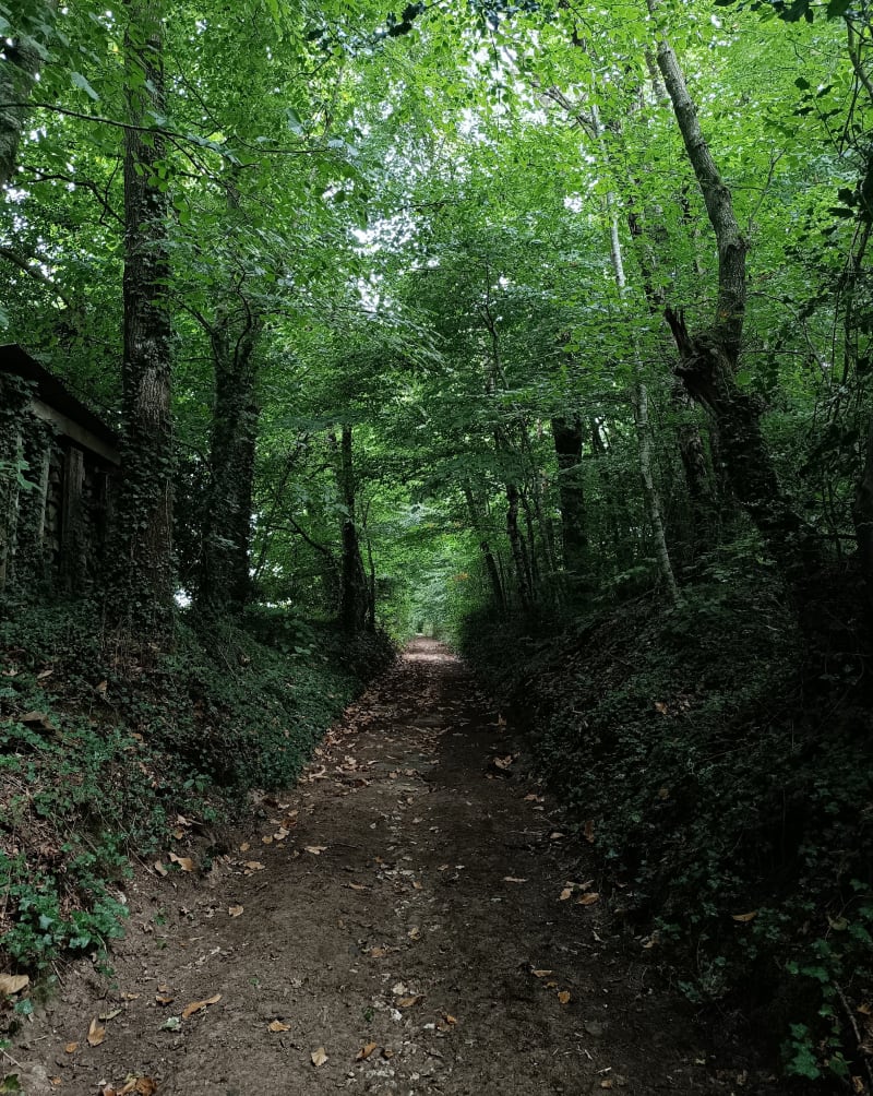 Dans la campagne de Pluherlin - Pluherlin