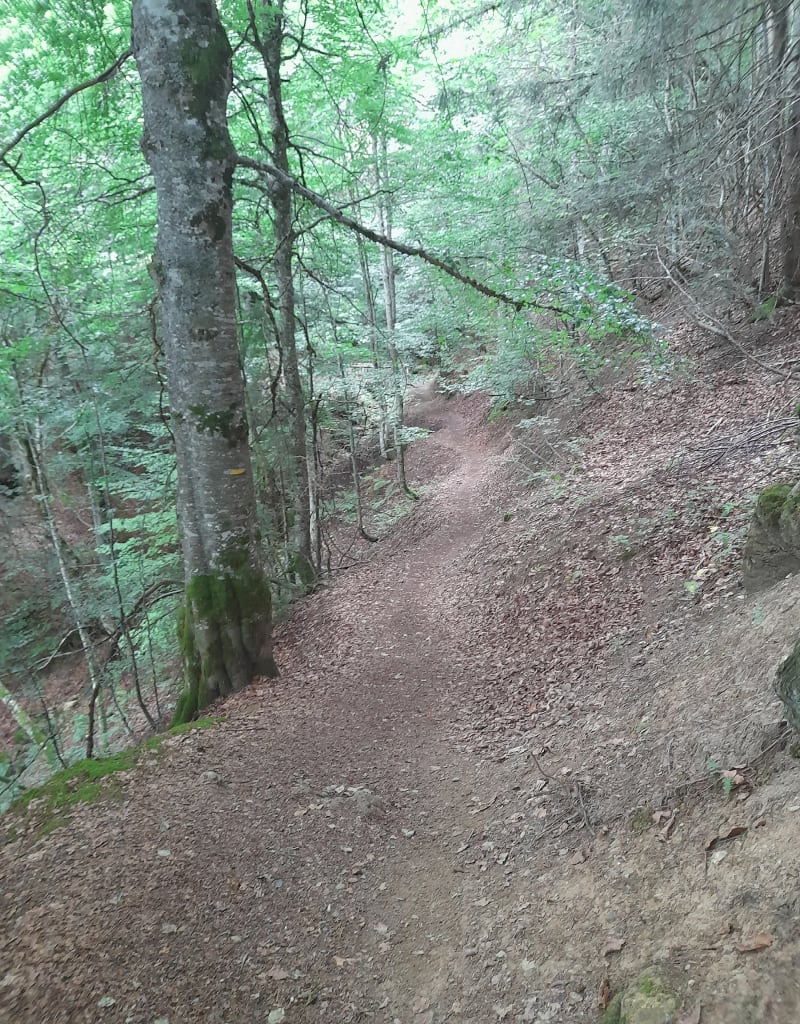 Promenade dans les alpages de Lachat - Cohennoz