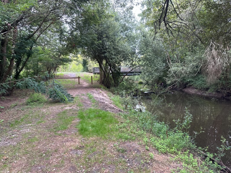Promenade le long du ruisseau Nasseys - Parentis-en-Born