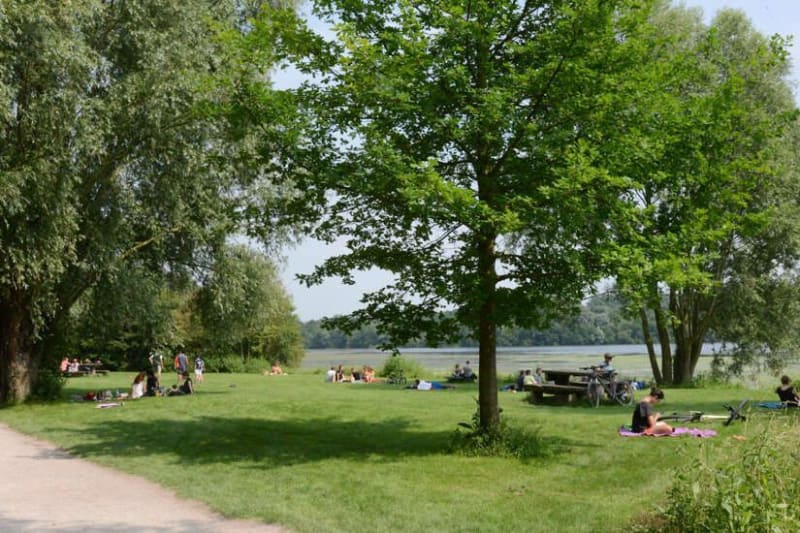 Tour du lac du héron - Villeneuve-d'Ascq