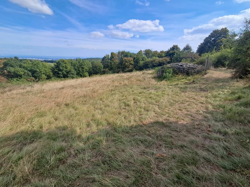 Dans les Monts d'Or - Saint-Didier-au-Mont-d'Or