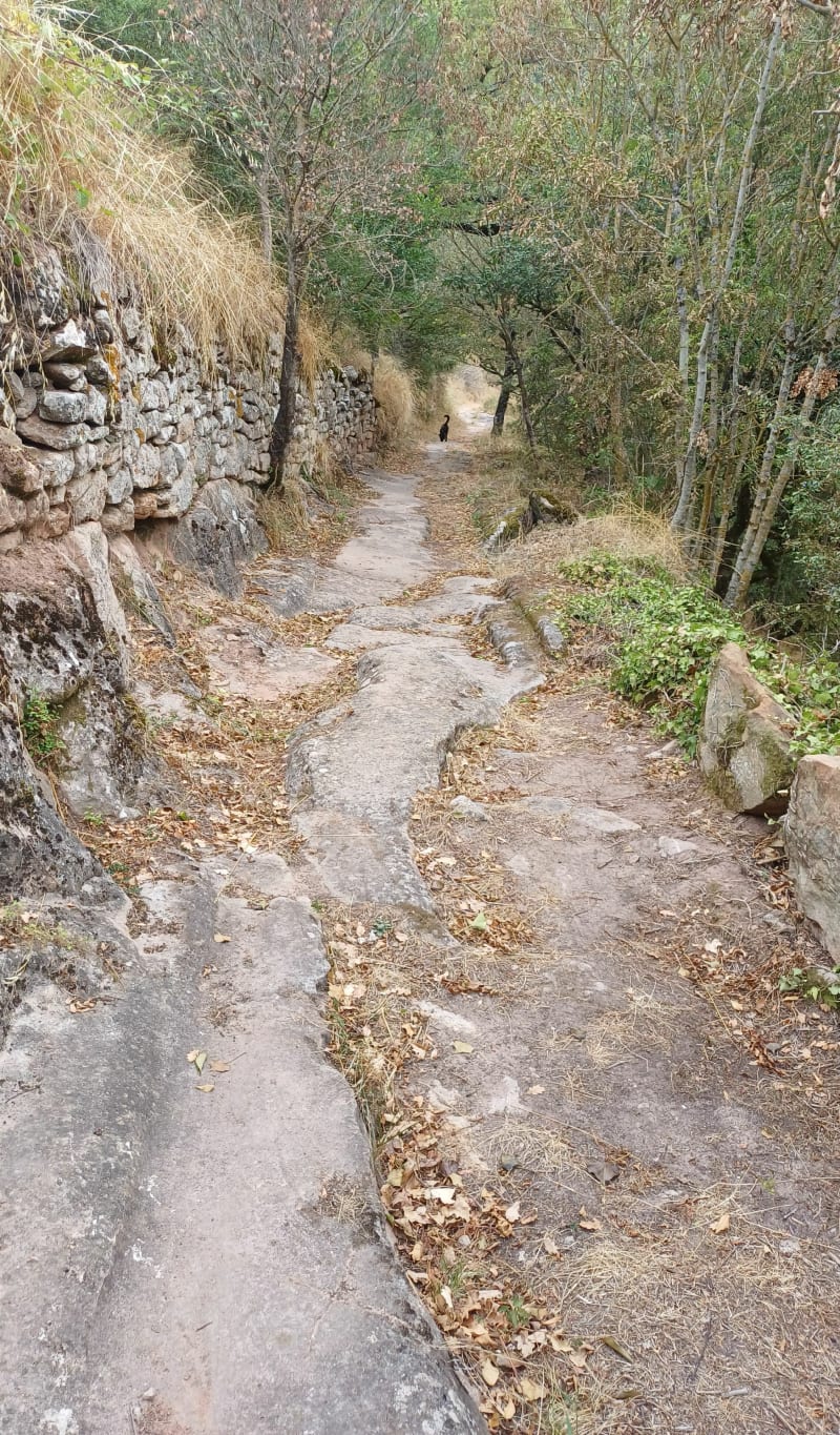 Balade au dessus de Montegut - Gissac
