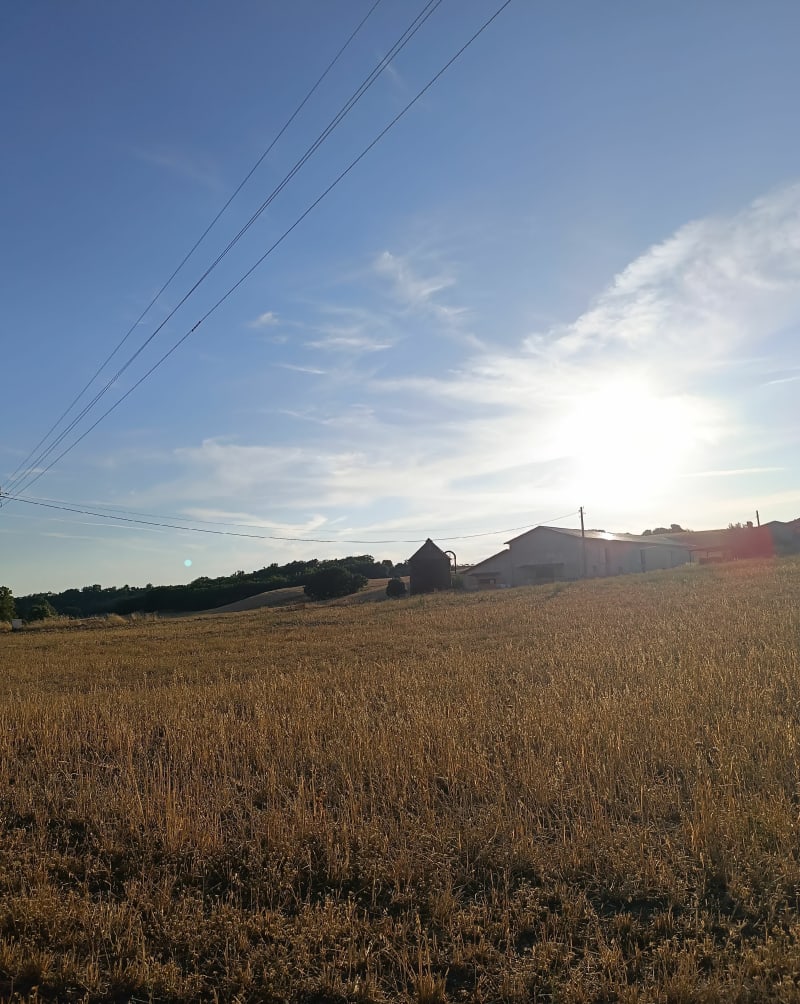 Promenade dans les champs autour du village de Valensole - Valensole