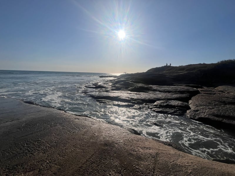Givrand par les chemins - Givrand