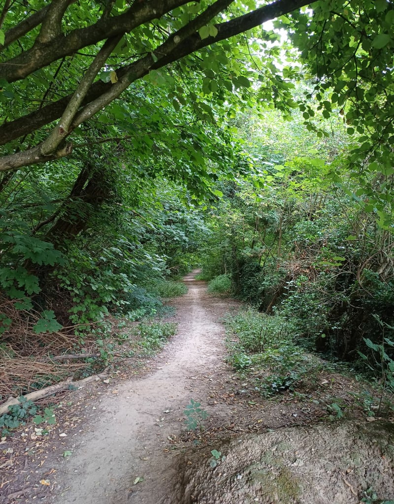 Entre champs, bois et canal autour de Mareuil - Mareuil-lès-Meaux