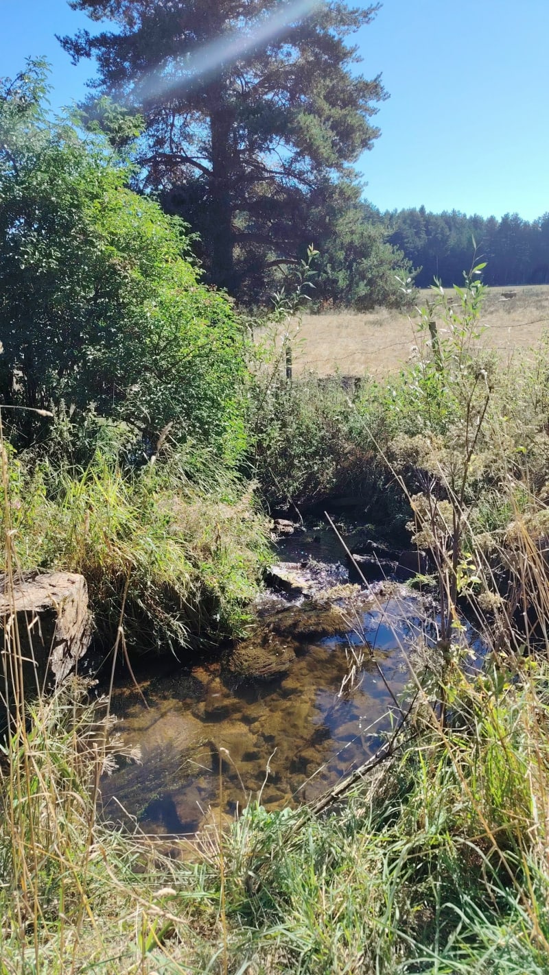 La Brugerette - La Chaze - Peyre en Aubrac