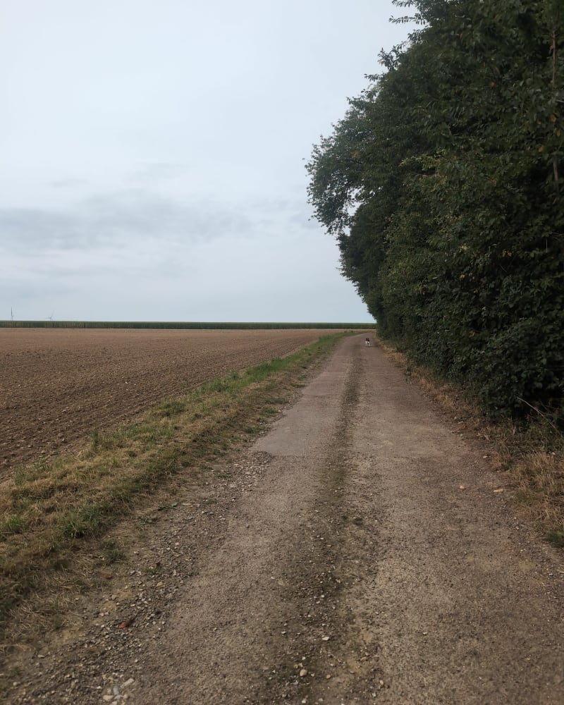 Boucle de Brocourt à Beaucamps-le-Vieux - Brocourt