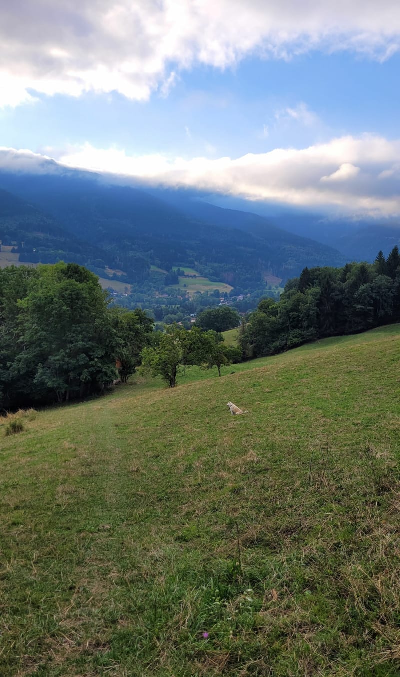 Forêt entre theys et les adrets: redescende par theys - Les Adrets