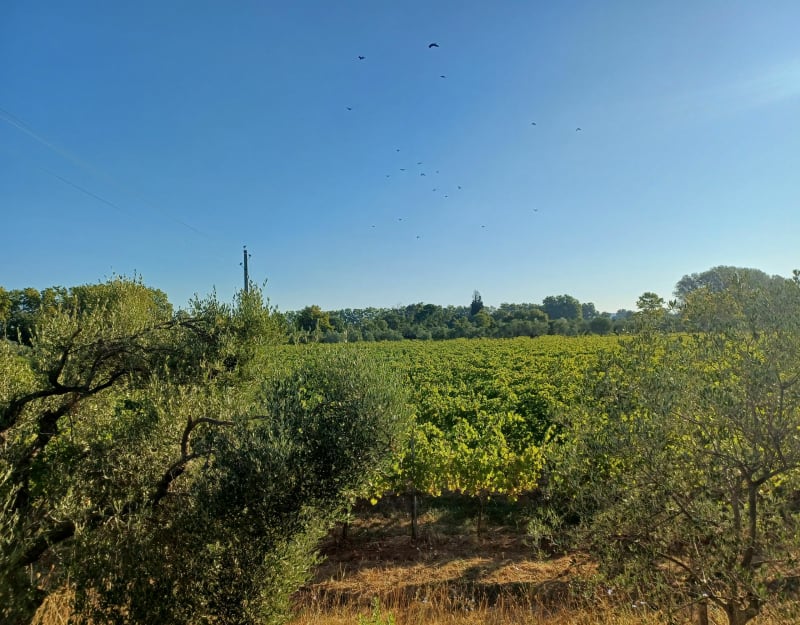 Balade sur le plan de La Garde - La Garde