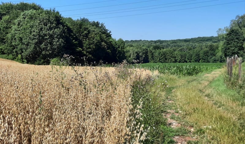 Taki tam spacerek na rowerze - Łaziska Górne