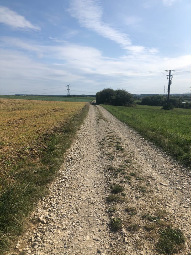 Promenade entre Biding et Vahl-Ebersing - Biding