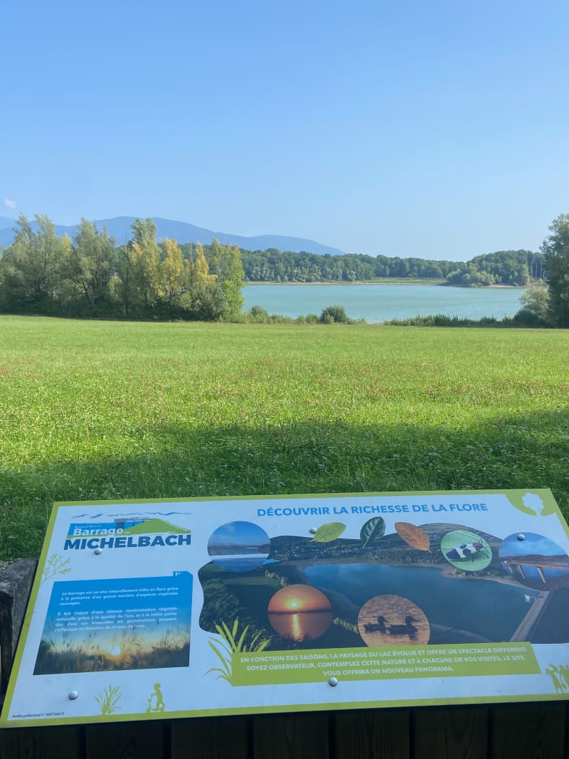 Petite randonnée autour Plan d’eau de MICHELBACH - Aspach-le-Bas