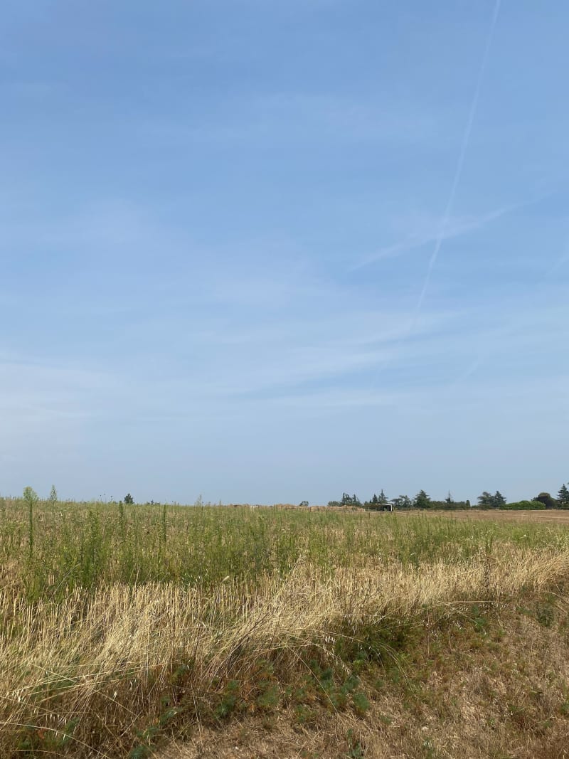 Randonnée / marche active à Pollionnay - Pollionnay