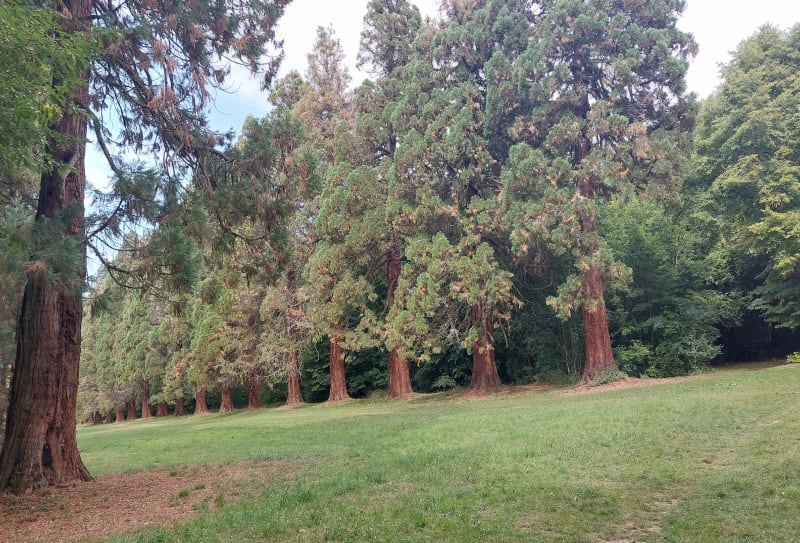 Parc de Villeroy - Mennecy