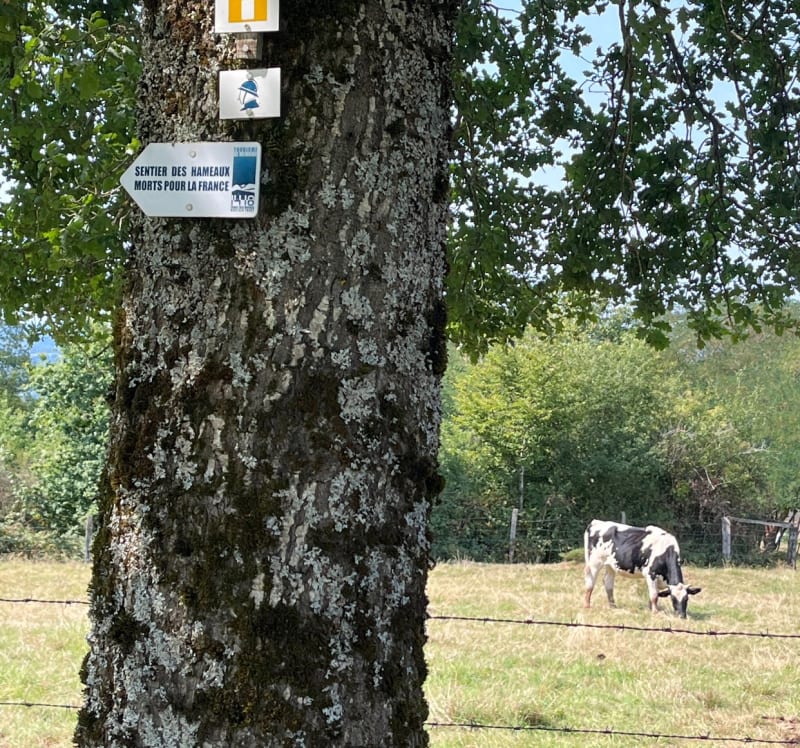 Nécropole de la Fontenelle - Ban-de-Sapt