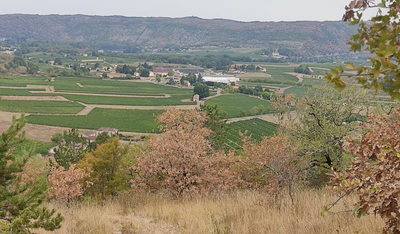 Les côteaux de Parnac - Parnac
