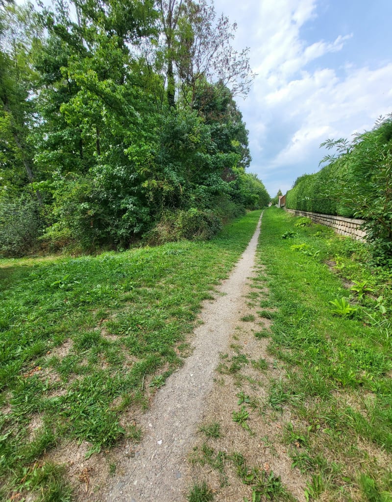 Balade sympa au départ du parc du Chasseur - Saint-Genest-Lerpt