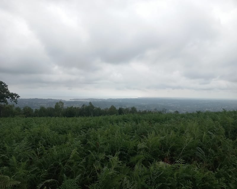 Chemin d'Intzola - Urrugne
