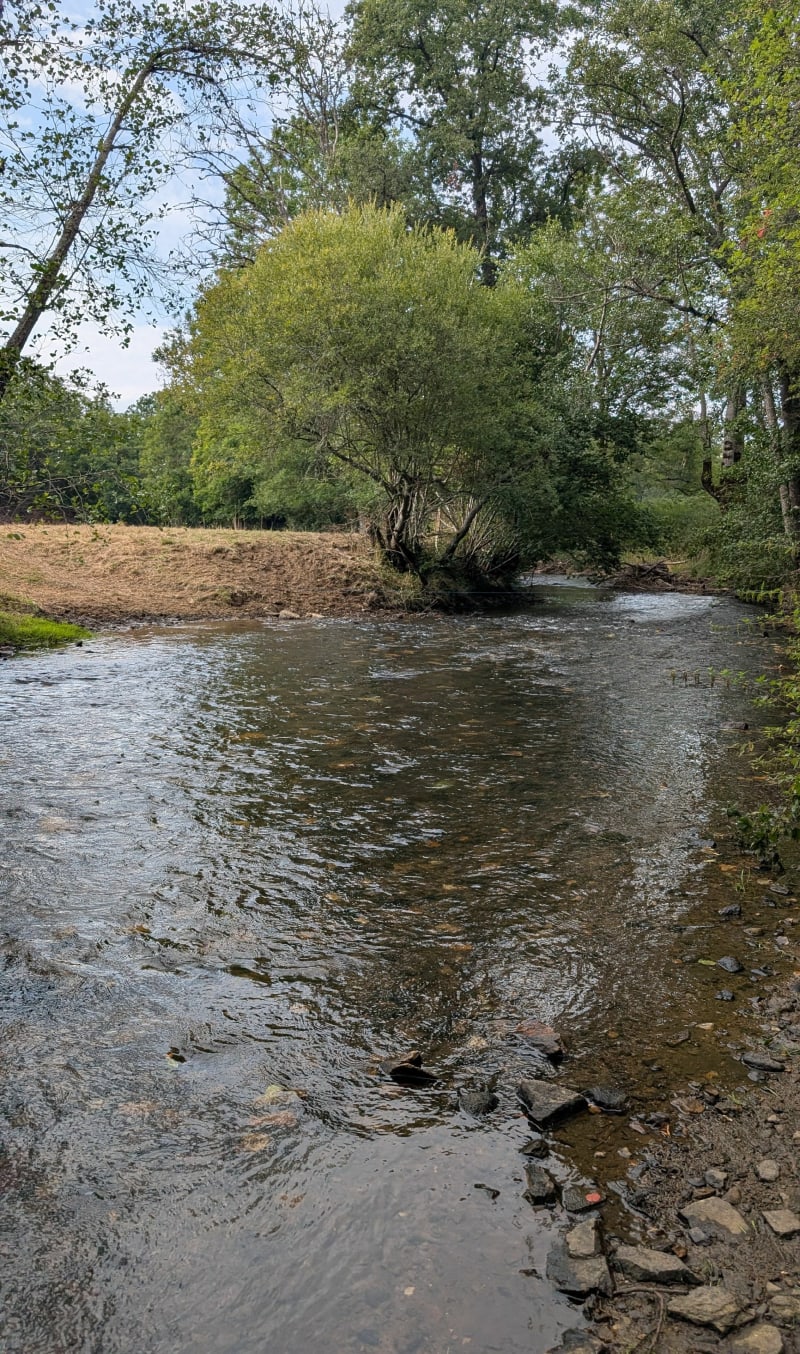 Petite promenade au milieu des prés depuis Coheix - Mazaye