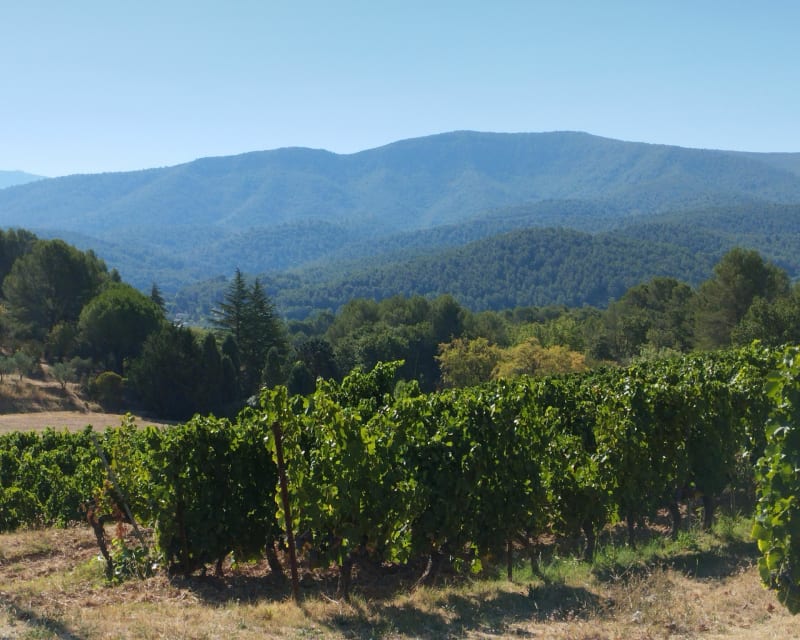 Les sources de Nayes à St Zacharie , depuis Cadolive. - Cadolive