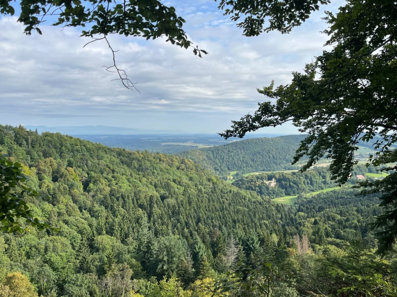 Boucle source de la largue, château du Morimont - Oberlarg