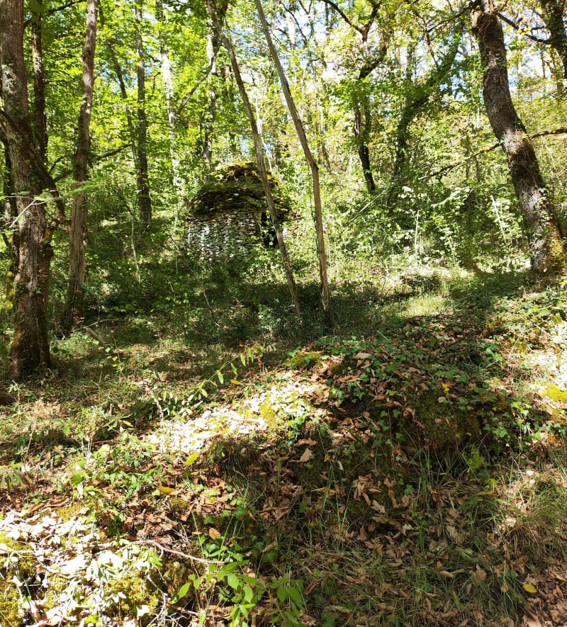 Saint Amand de Coly, forêts et champs - Coly-Saint-Amand