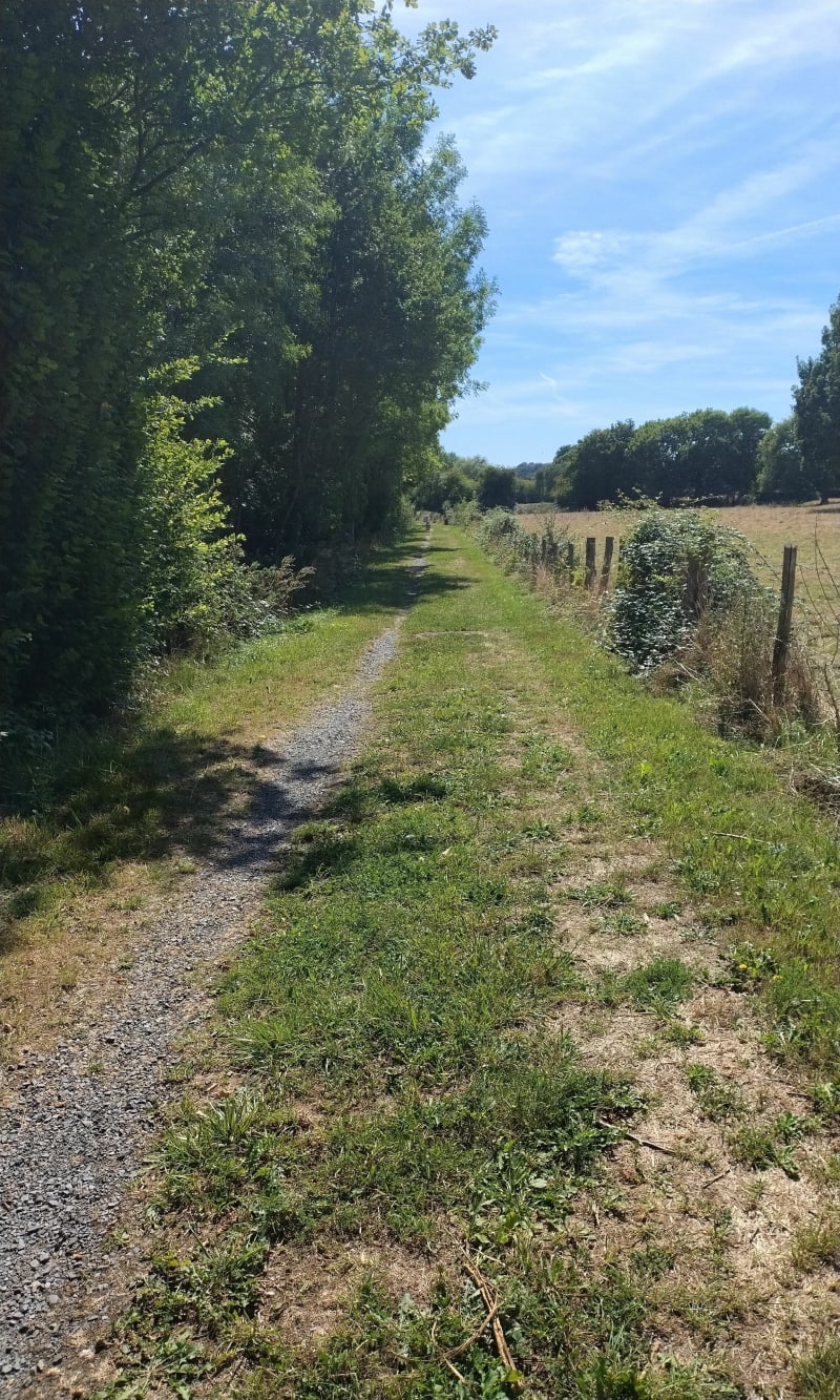 Chemin des Tuileries et le Perray - Sainte-Sabine-sur-Longève