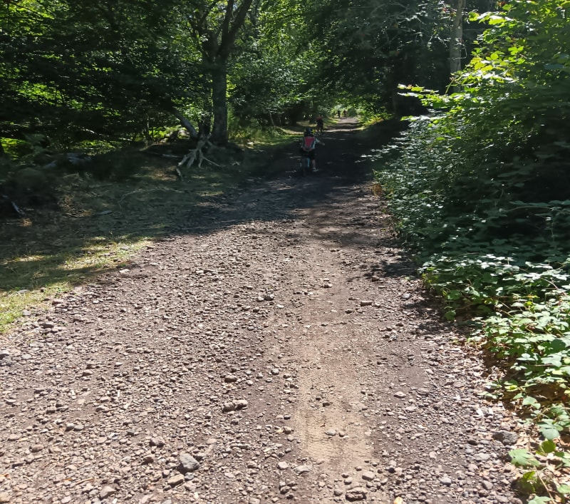 Endroits parcours sportif à Saint-Genès-Champanelle - Saint-Genès-Champanelle