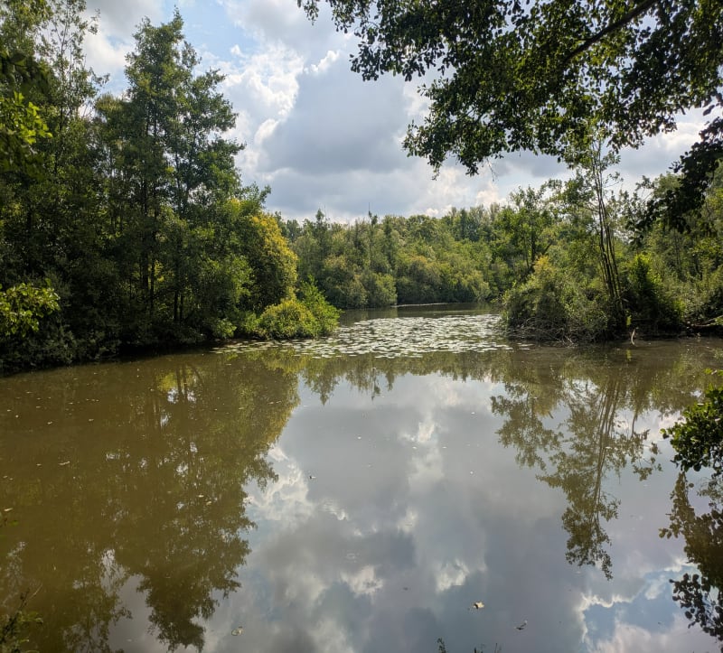 Tour des marais de Plouvain - Plouvain