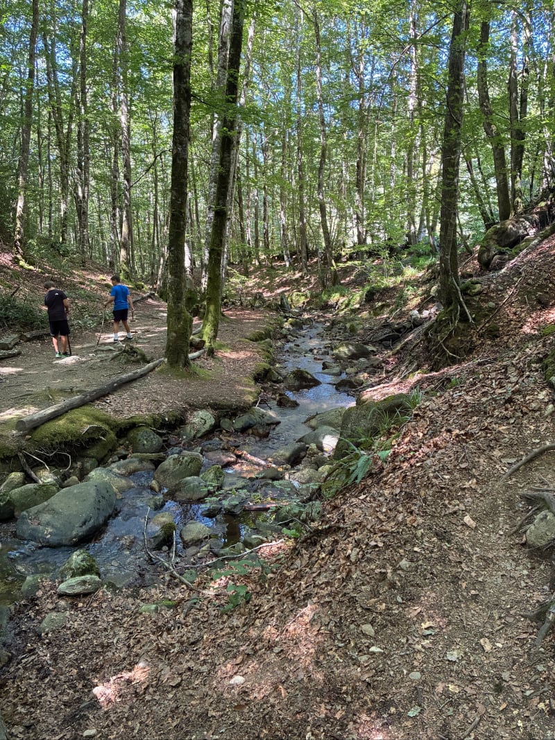 Le sentier de l’enfant sauvage - Lacaune