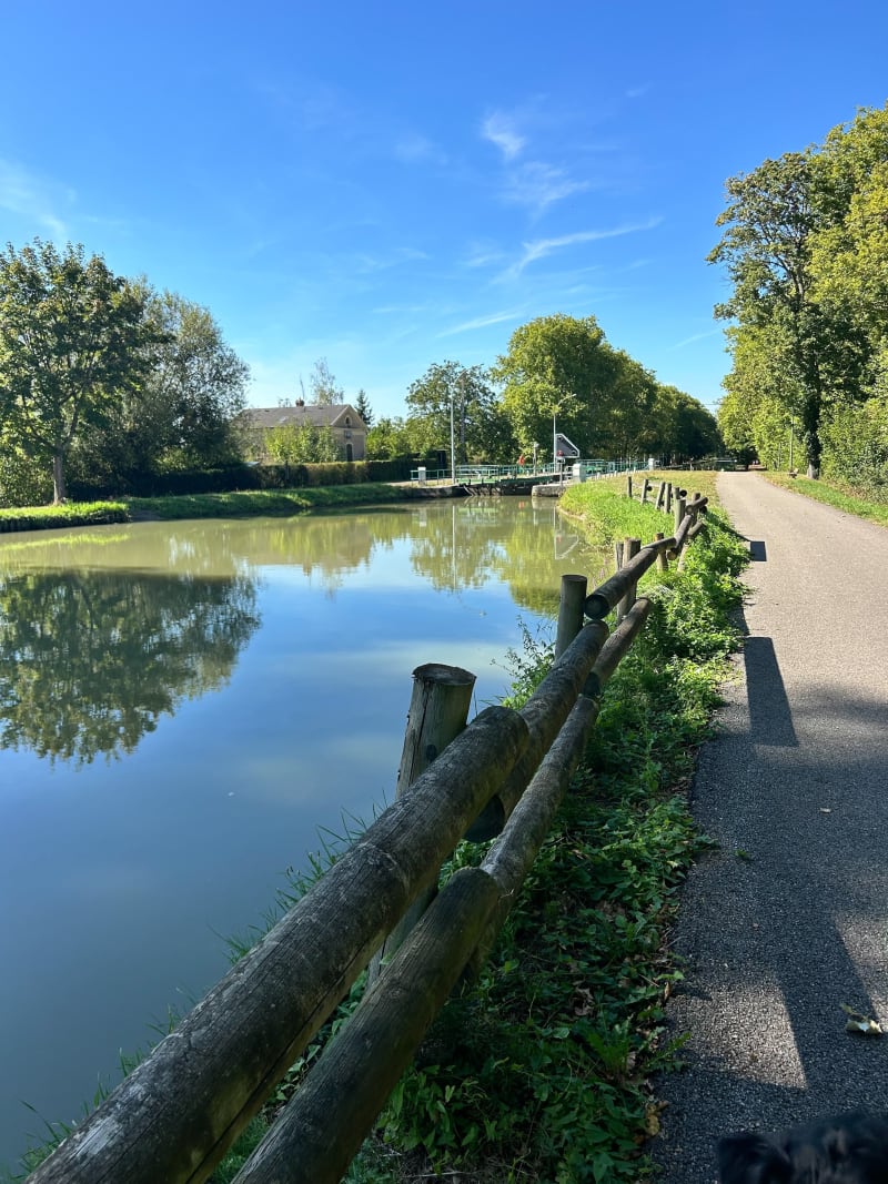 Balade le long du canal à Sermoise-sur-Loire - Sermoise-sur-Loire