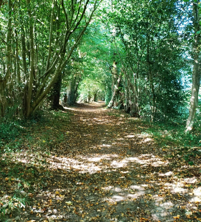 Marche au calme à Mélicourt - Mélicourt