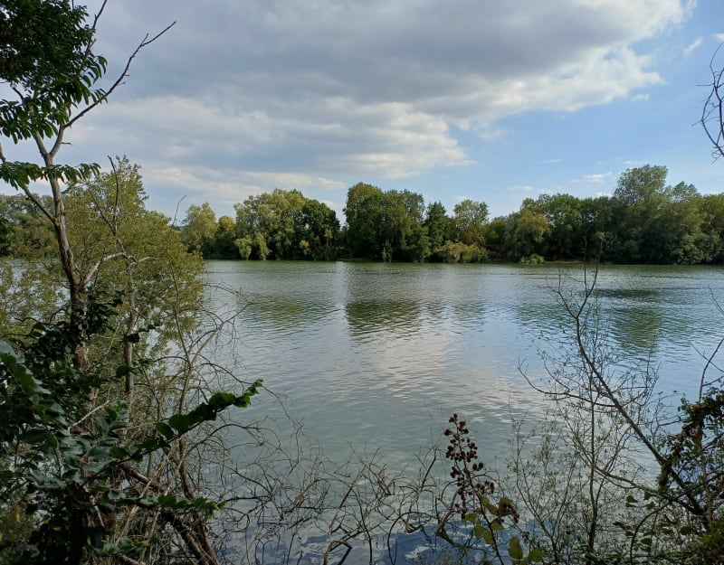Balade en bord de Seine à Saint-Aubin-lès-Elbeuf - Saint-Aubin-lès-Elbeuf