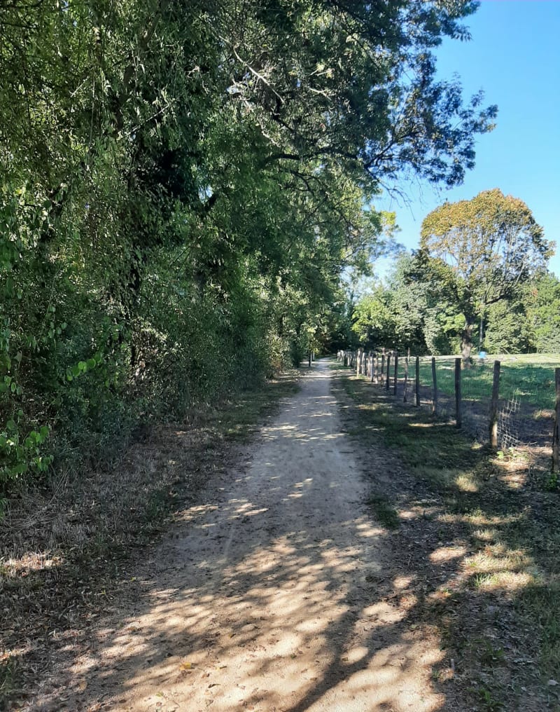 Visite de l'arboretum de Châtillon-sur-Chalaronne - Châtillon-sur-Chalaronne