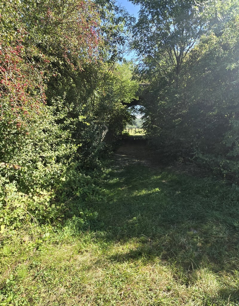 Forêt de Montigny - Chalaines
