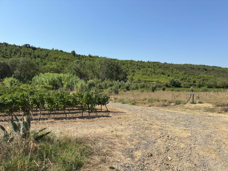 PREMIÈRE PROMENADE FAMILIALE AUTOUR DU CAMPING LA PINÈDE - Castelnau-de-Guers