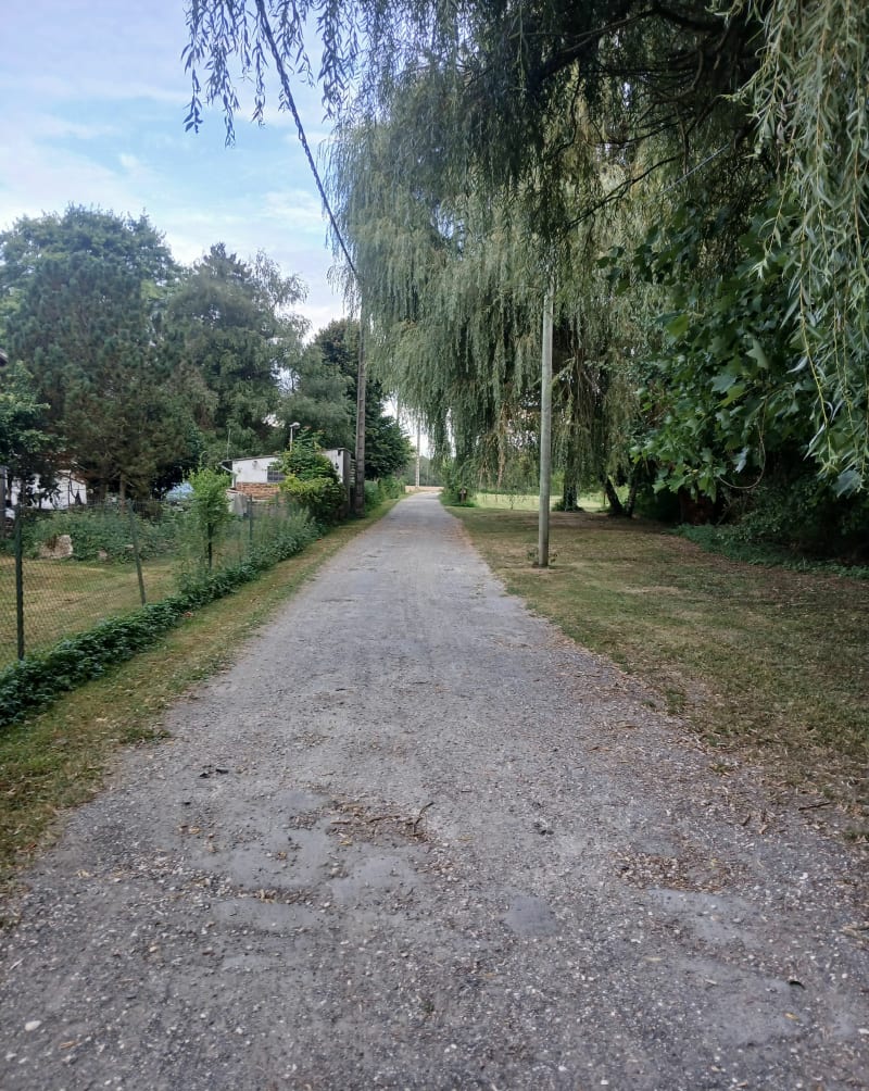 Chemin de la radine - Mouroux