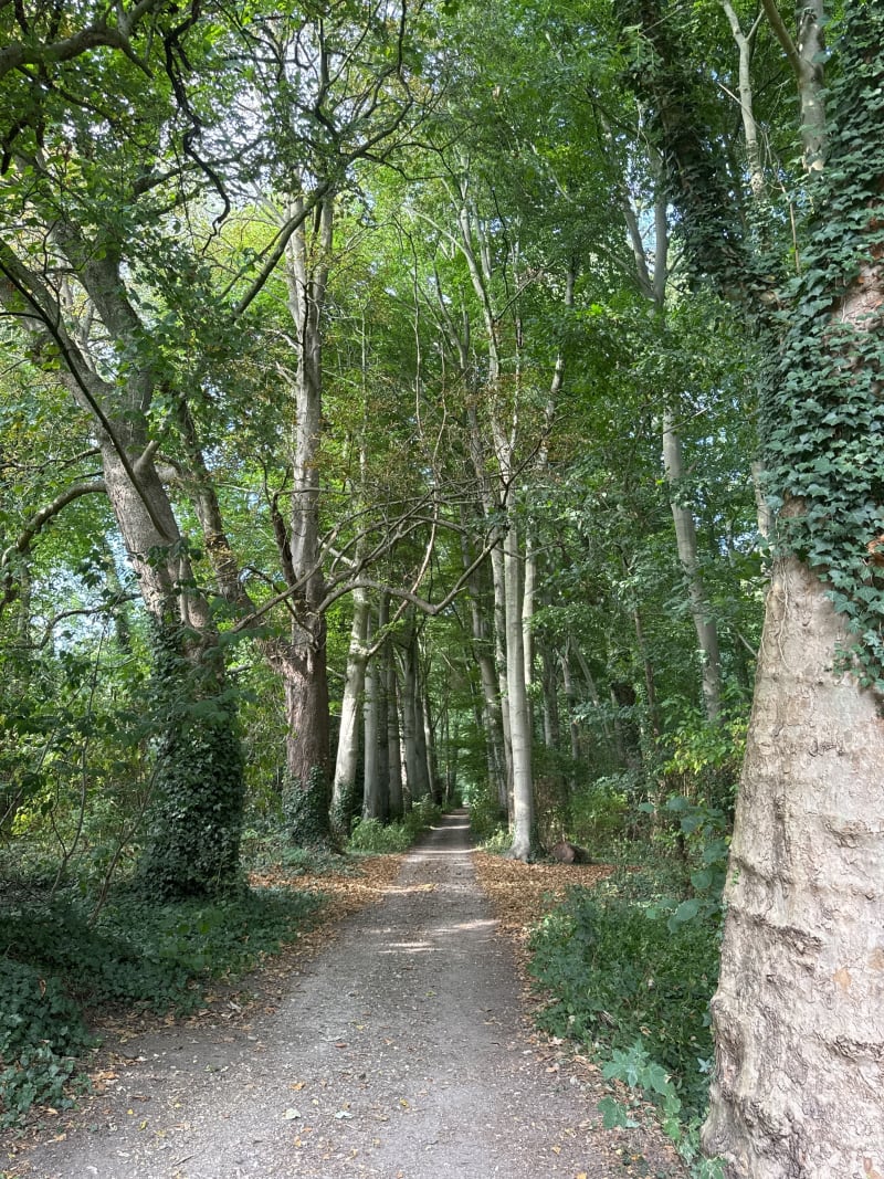 Wandeltocht van een uur over landgoed Marienwaerdt - Beesd