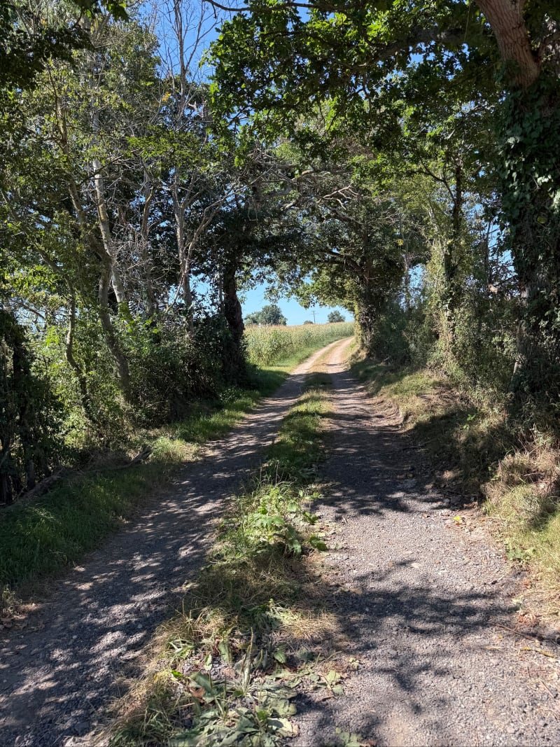Balade en campagne à Trungy - Trungy