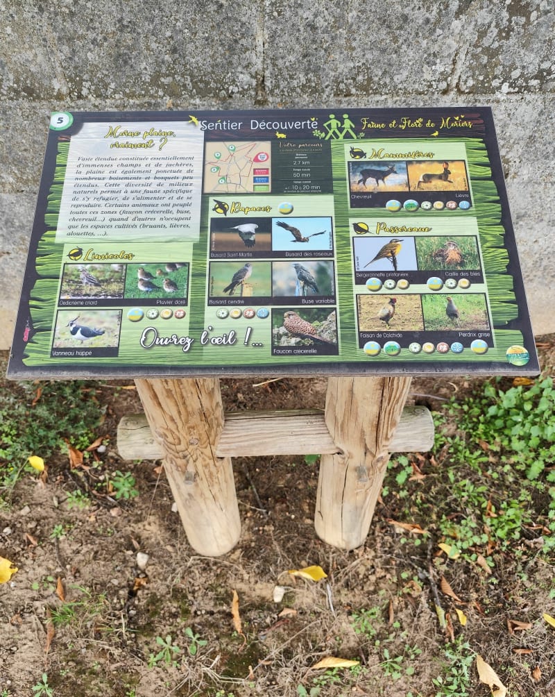 Randonnée sur route et à travers champs autour de Bonneval - Saint-Maur-sur-le-Loir