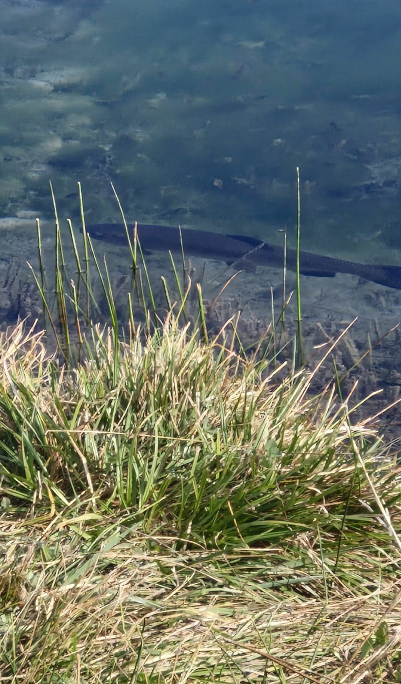 Lacs de la Germanette à Serres - Serres