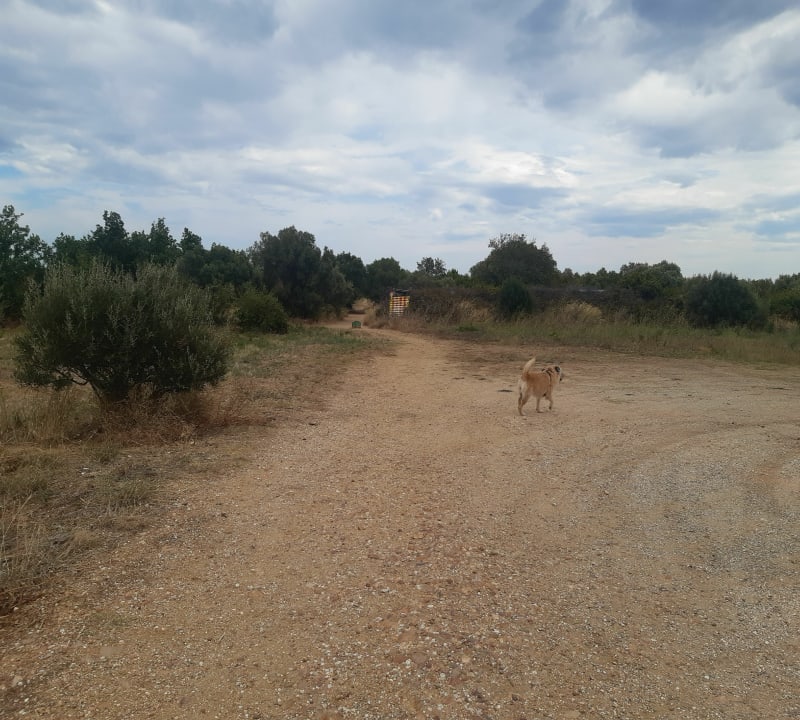 Etang de Canet - Saint-Nazaire