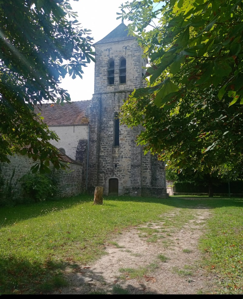Entre lavande et forêt au Le Vaudoué - Le Vaudoué